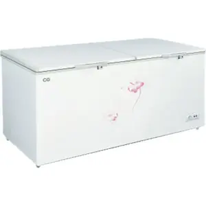 CG Chest Freezer 610 Ltrs Double Door Hard Top-Trade Nepal