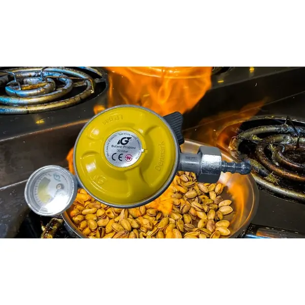IGT Auto Cut Gas Regulator with Safety Pin CE & NS Certified