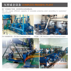 ZX-130 & 6YL-160 Oil Press Machine | Industrial Screw Oil Expeller Plant (10–12 Ton/Day)